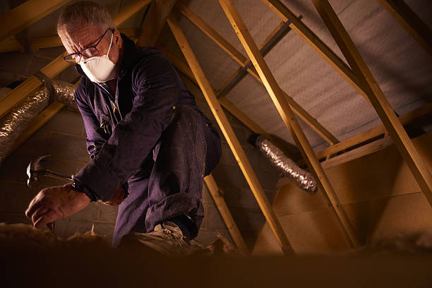 Best Insulation for New Construction  in Satsuma, AL